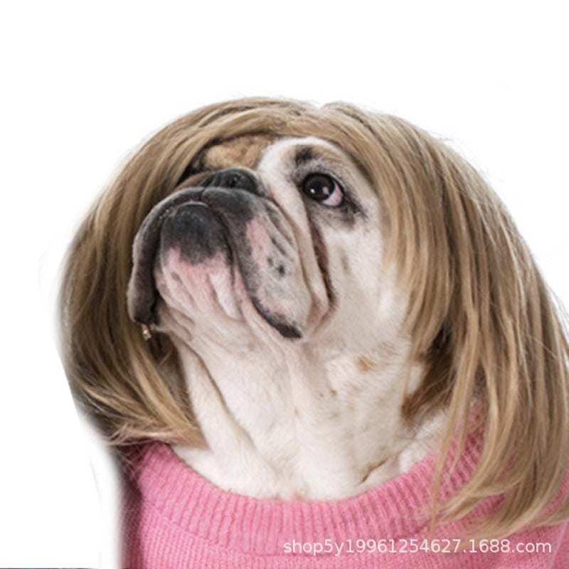 Factory direct sales cross-border pet hot-selling pet wigs dog wigs Halloween pet accessories curly hair straight hair