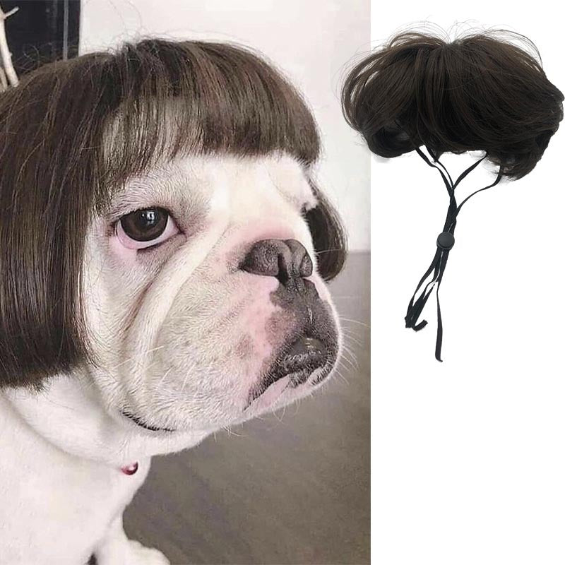 Factory direct sales cross-border pet hot-selling pet wigs dog wigs Halloween pet accessories curly hair straight hair