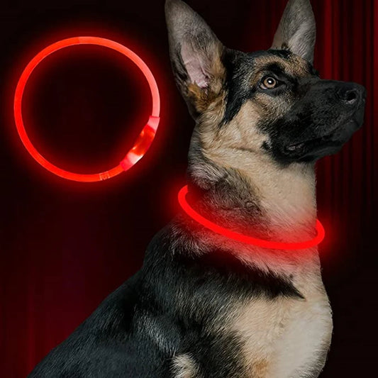 LED発光ペット首輪™|USB充電式 夜間の安全 犬猫用 光る安全ライトカラー