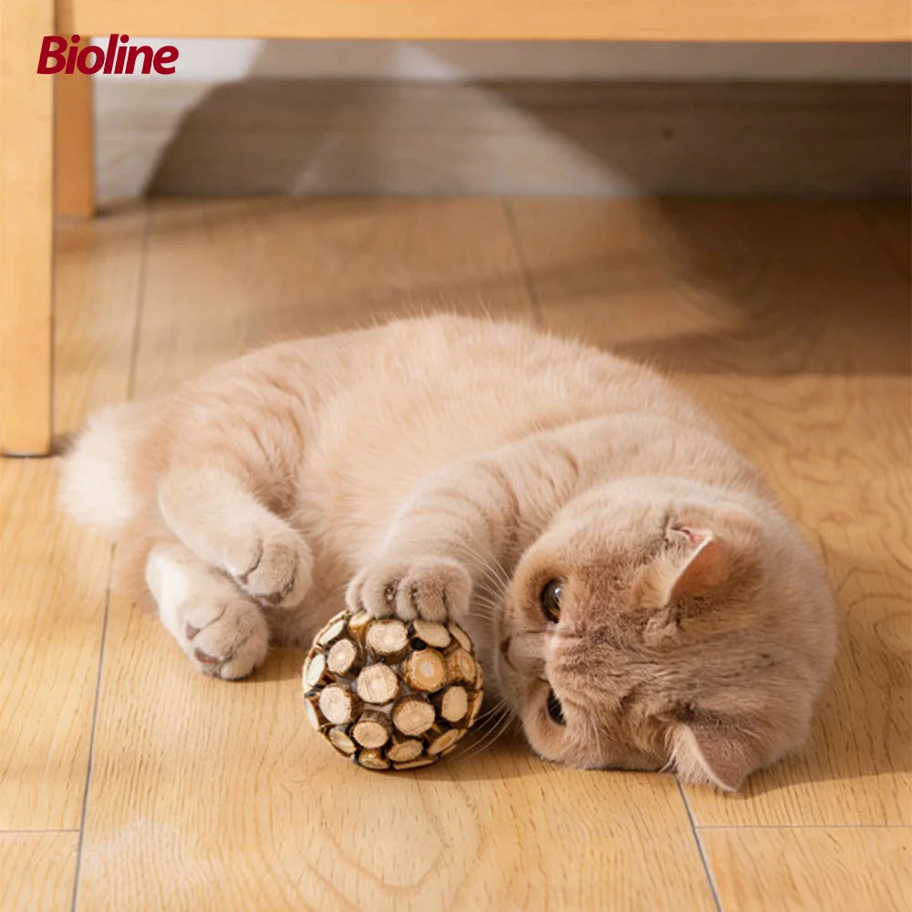またたび猫用歯みがきボール™