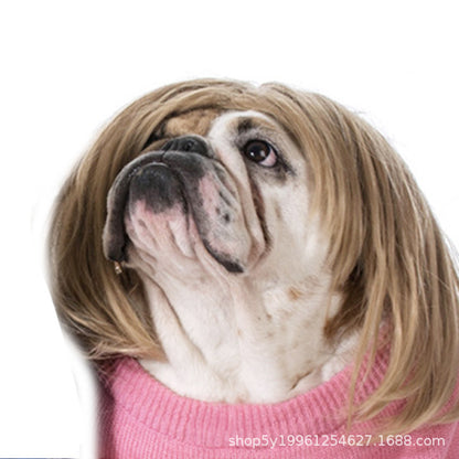 Factory direct sales cross-border pet hot-selling pet wigs dog wigs Halloween pet accessories curly hair straight hair