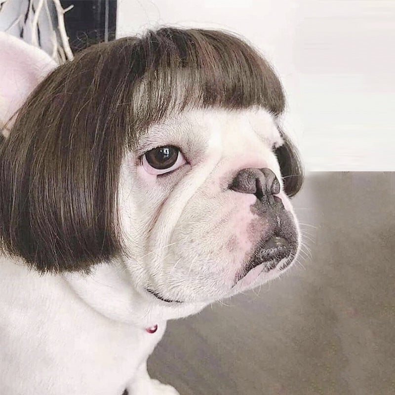 Factory direct sales cross-border pet hot-selling pet wigs dog wigs Halloween pet accessories curly hair straight hair