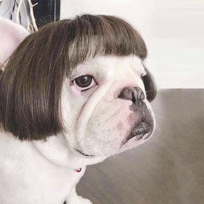 Factory direct sales cross-border pet hot-selling pet wigs dog wigs Halloween pet accessories curly hair straight hair