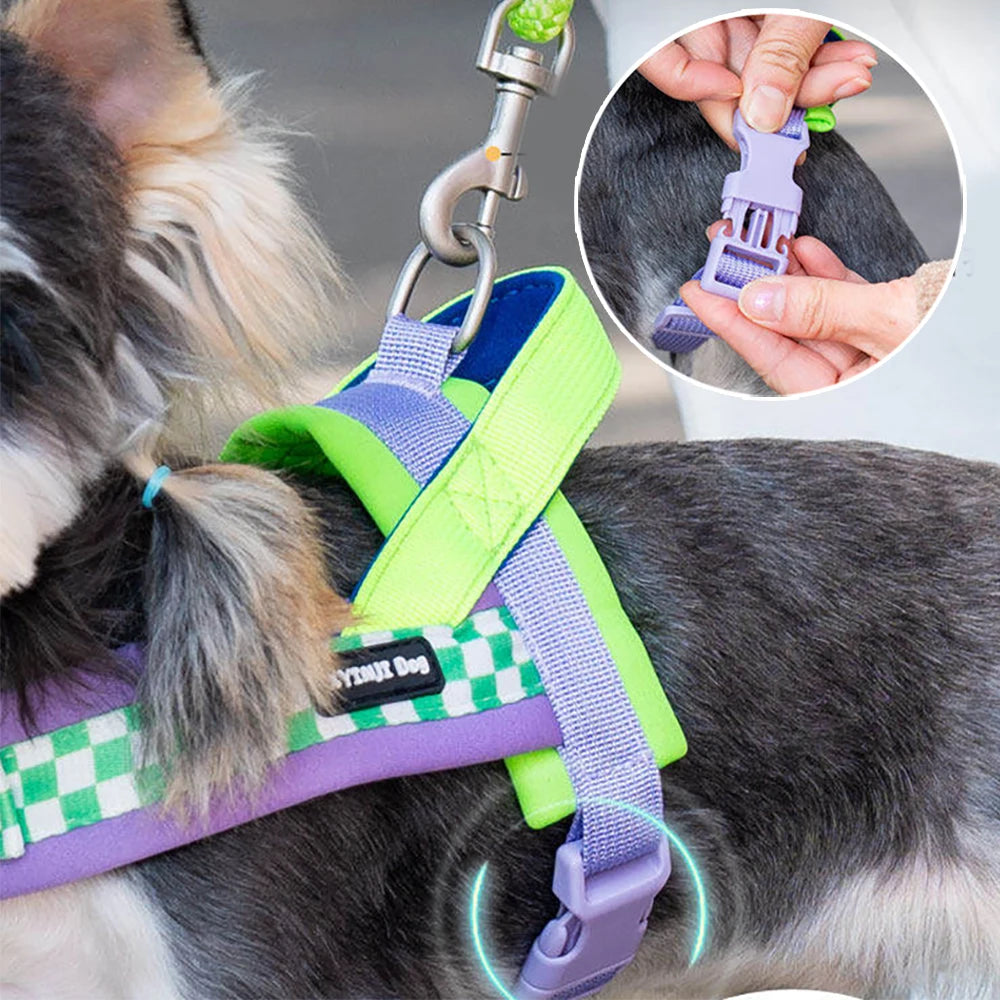 小型犬用ハーネス&リードセット™