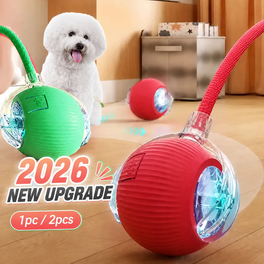 スピンスナッカー™｜自動回転おやつボール 犬猫用電動インタラクティブトイ 2026年版