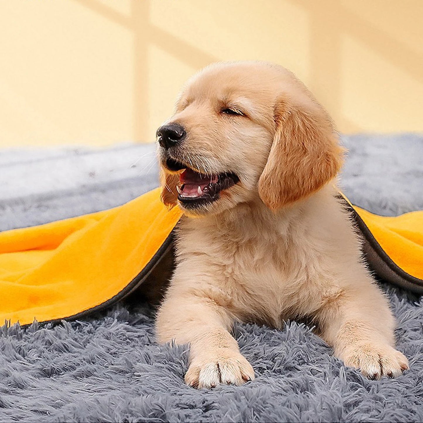 ペット超吸水タオル™｜マイクロファイバー速乾 犬猫用 お風呂・水遊び後の吸水ブランケット