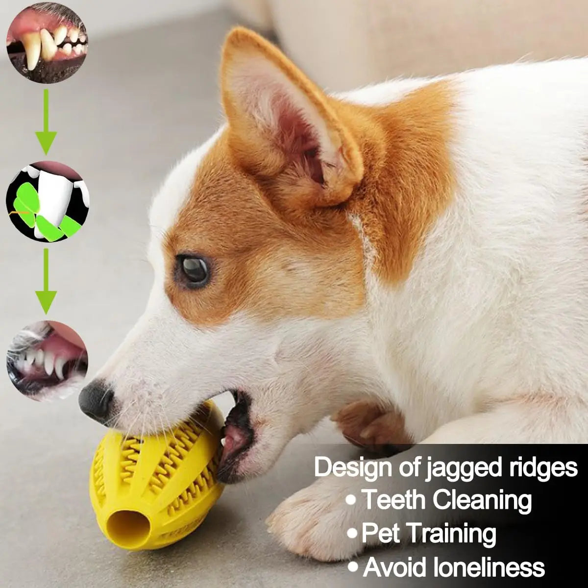 天然ゴム 犬用歯みがきボール™