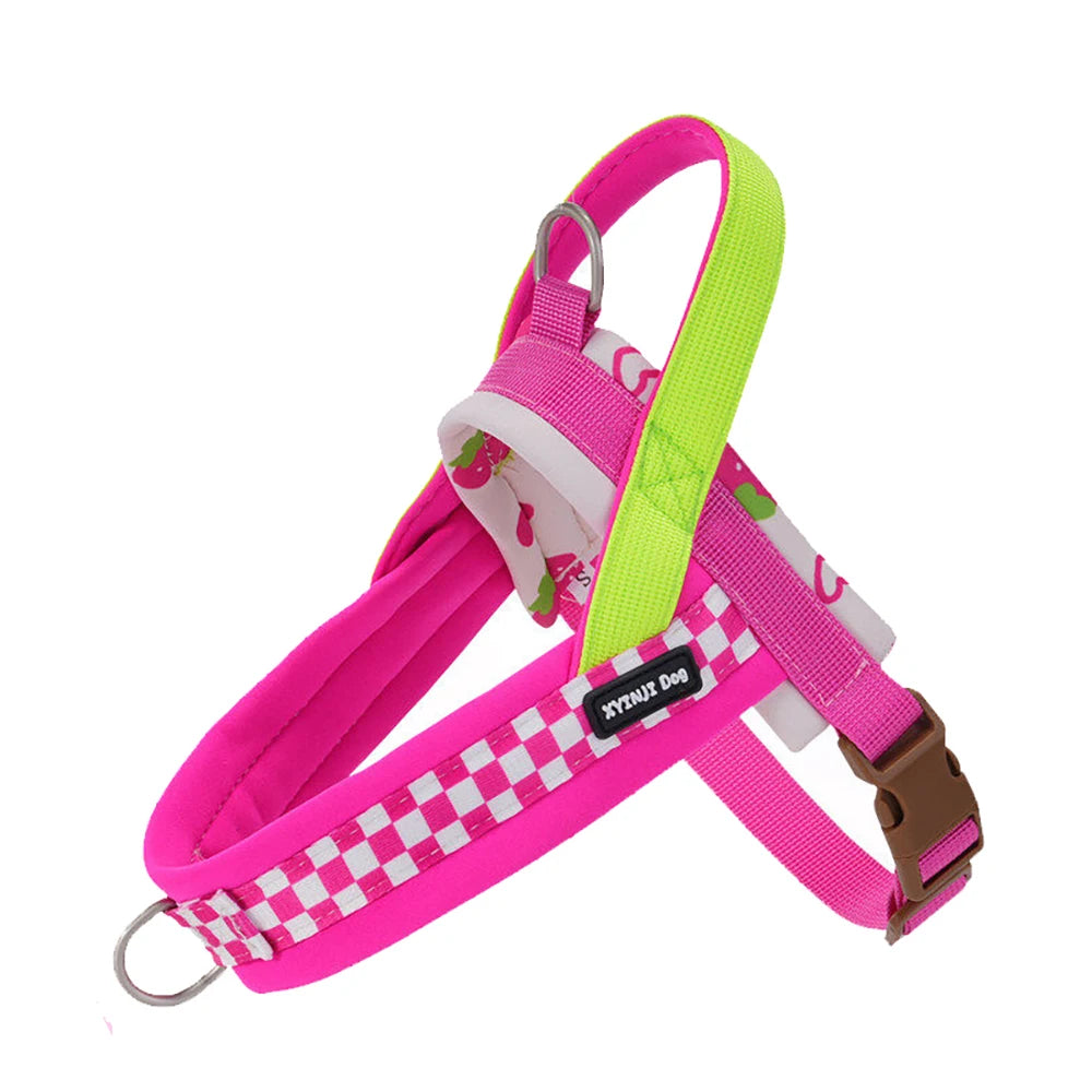 小型犬用ハーネス&リードセット™