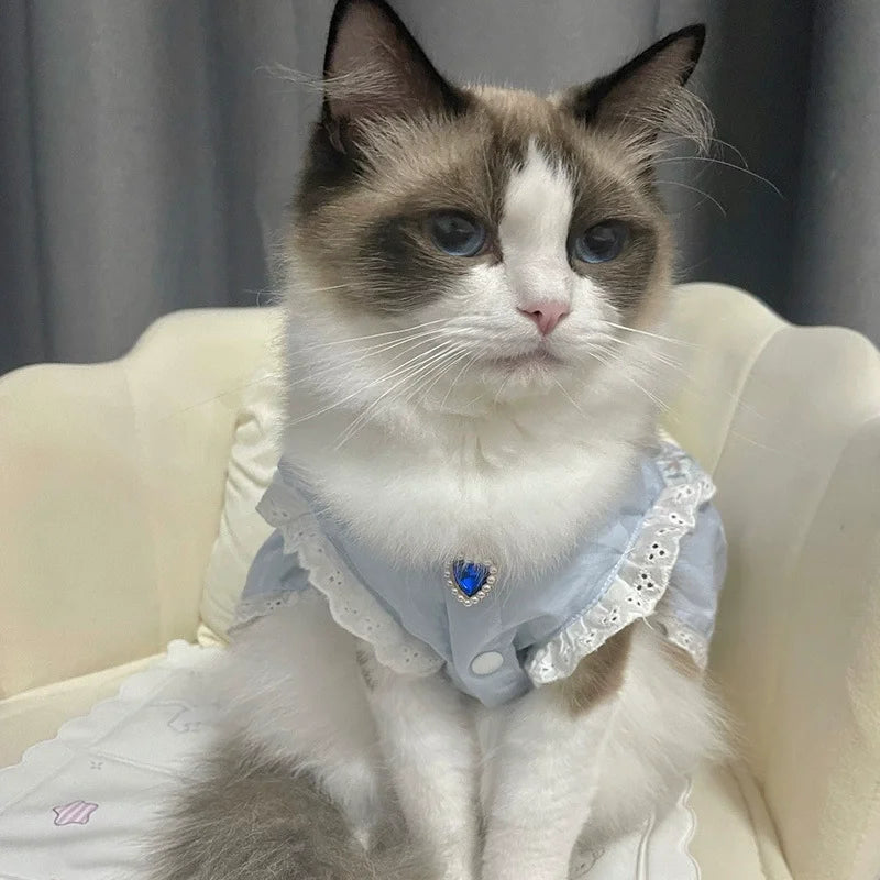 きらめきパールペットネックレス™｜ラインストーンハート付き 猫・小型犬用 おしゃれアクセサリー首飾り
