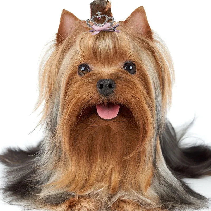 犬猫用ヘアクリップ™
