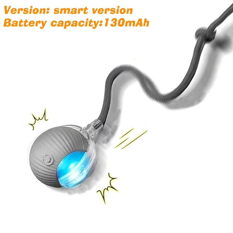 Spin Snacker - Automatic Rolling Treat Ball Interactive Cat Dog Toy