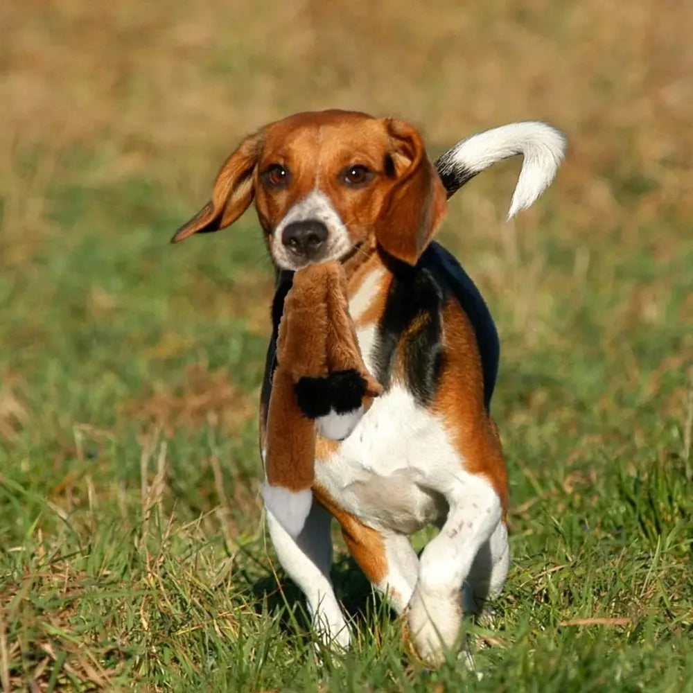 中綿なし音入り犬用ぬいぐるみ™