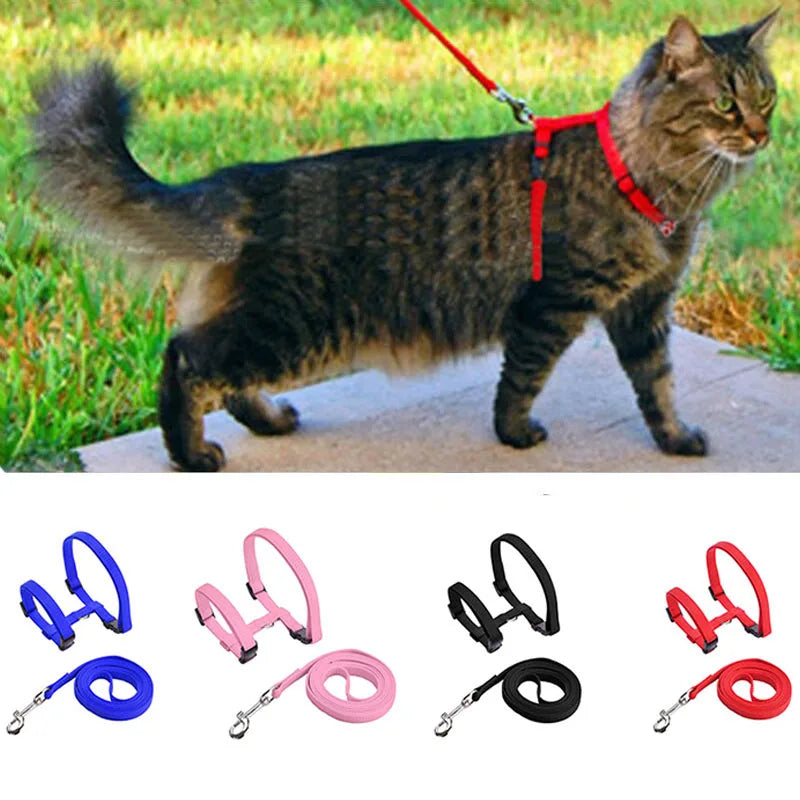 猫用ハーネスリードセット™