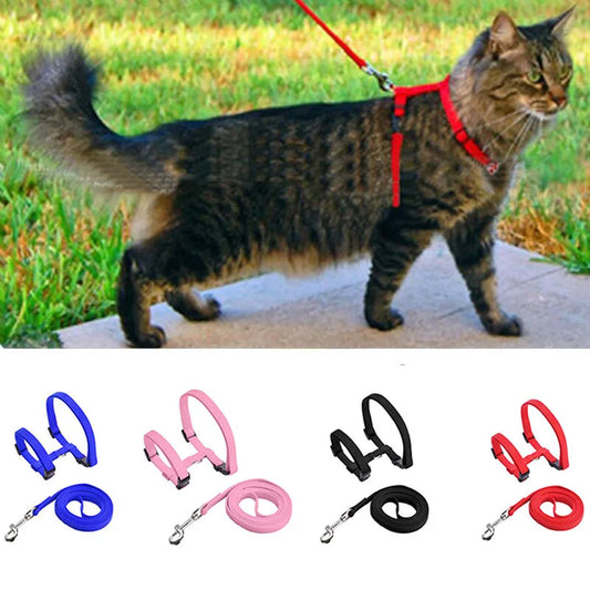 猫用ハーネスリードセット™