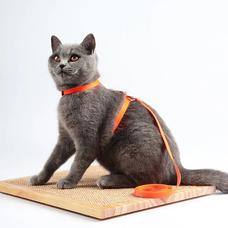 猫用ハーネスリードセット™