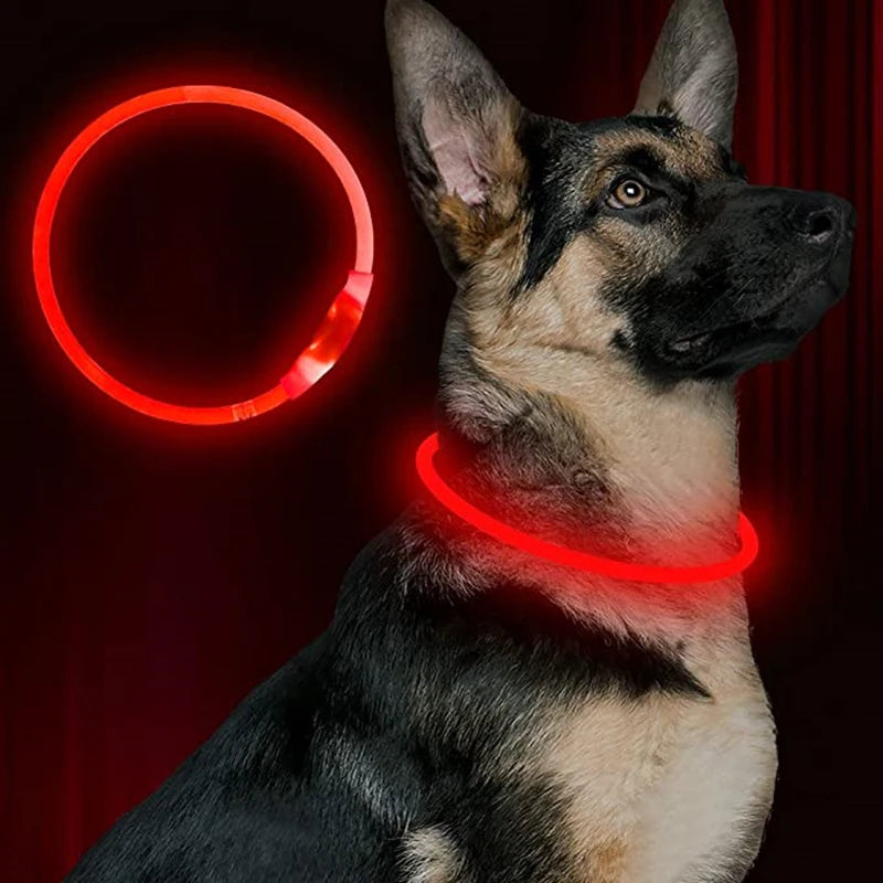 LED発光ペット首輪™｜USB充電式 夜間の安全 犬猫用 光る安全ライトカラー