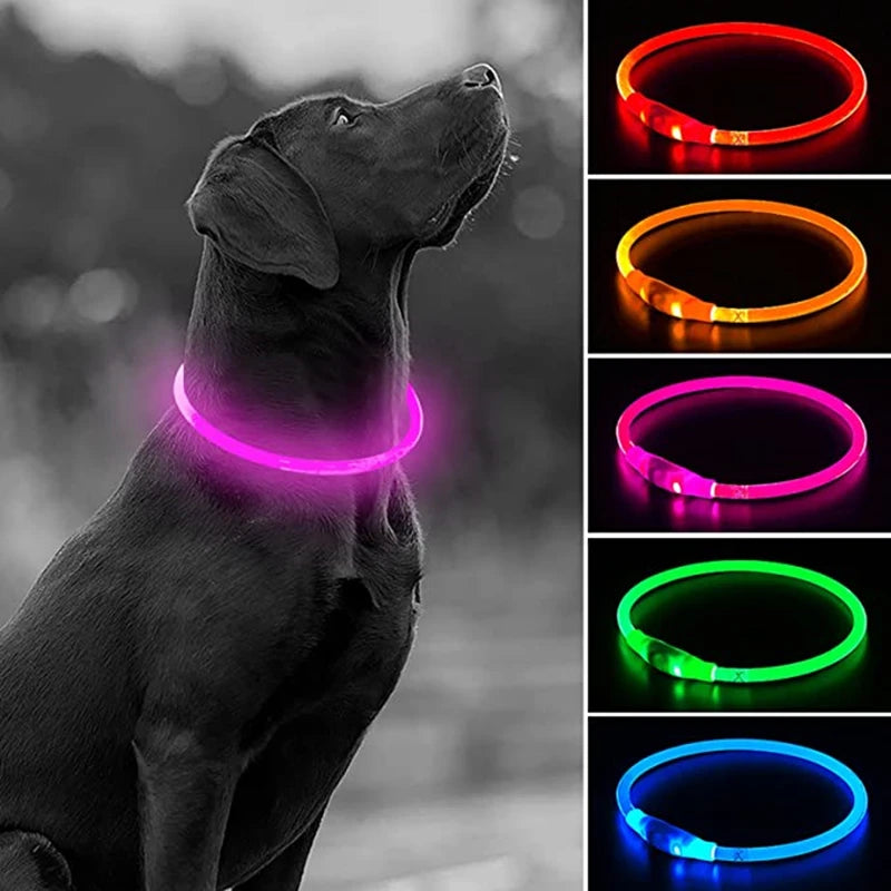 LED発光ペット首輪™｜USB充電式 夜間の安全 犬猫用 光る安全ライトカラー