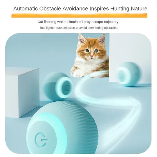自動で動く猫じゃらしボール™｜USB充電式 電動ころころ 犬猫用ひとり遊びおもちゃ