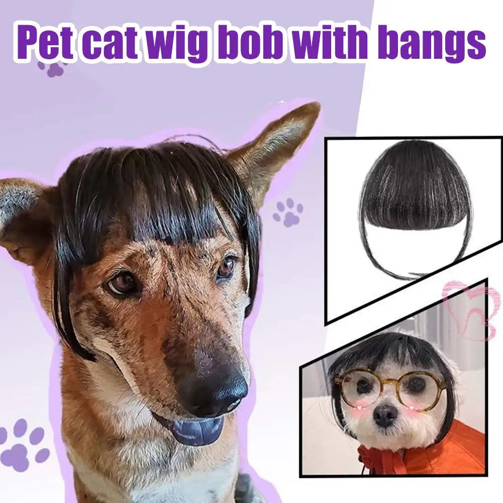 おもしろペットウィッグ™｜猫・小型犬用 コスプレかつら SNS映え撮影グッズ
