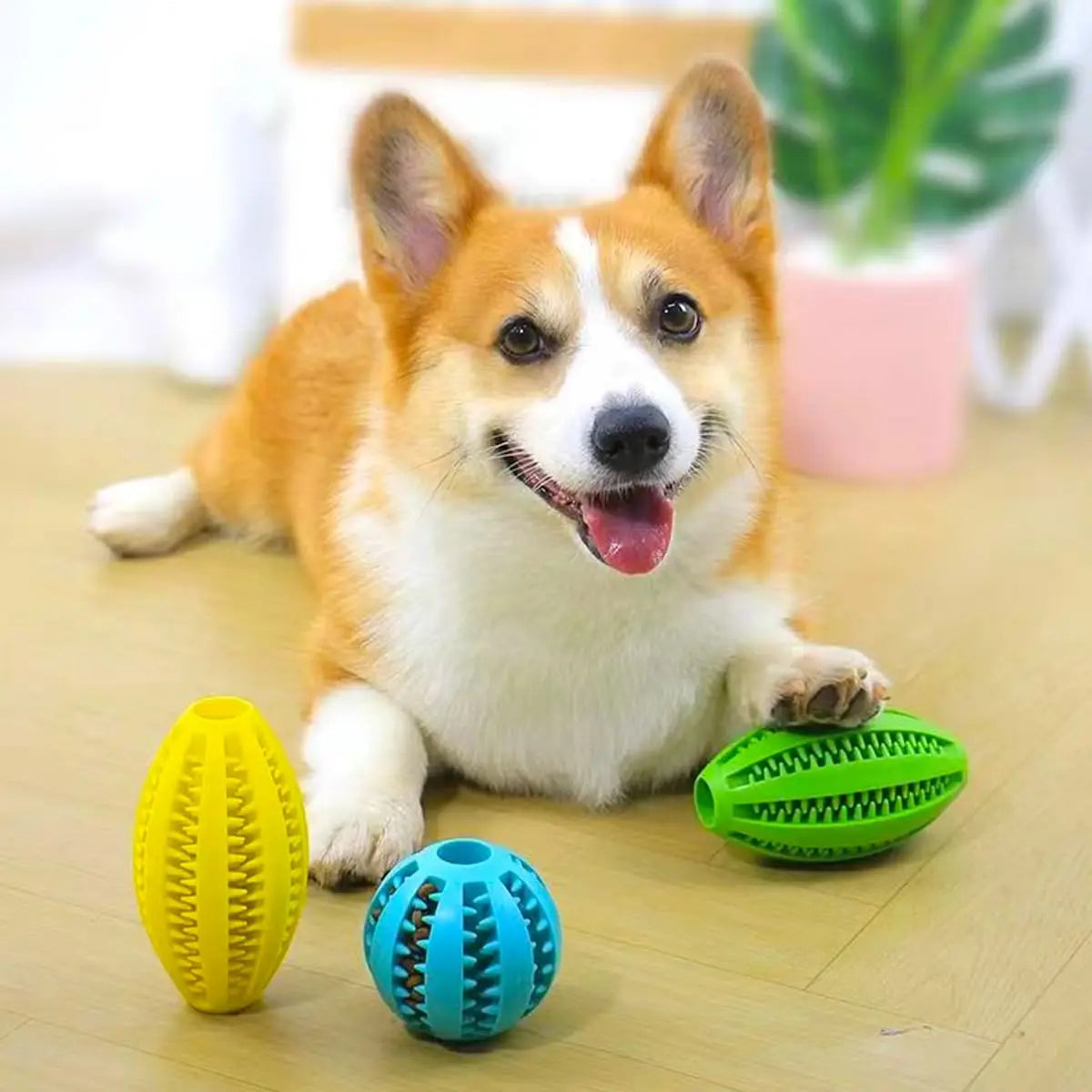 天然ゴム 犬用歯みがきボール™