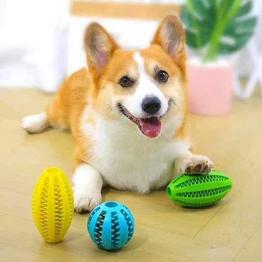 天然ゴム 犬用歯みがきボール™