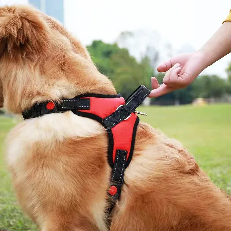 反射材付き犬用ハーネス™