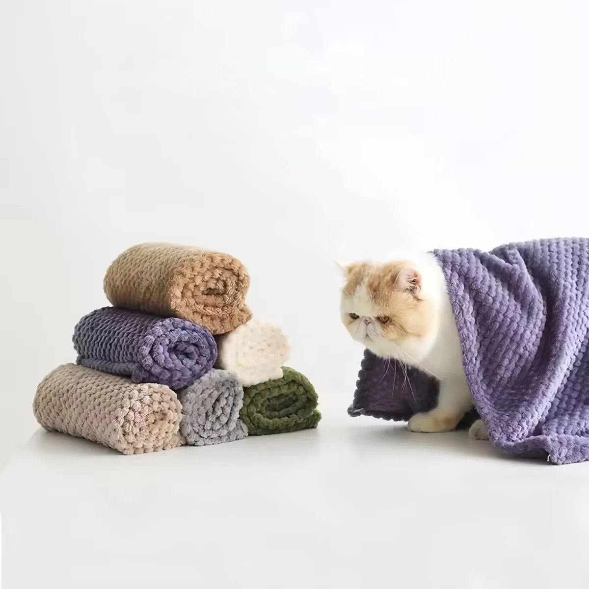 プラッシュペットブランケット™｜4シーズン対応 洗える暖かいペット寝具 犬猫兼用マットカバー