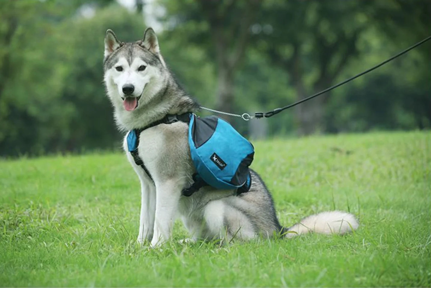 犬用リフレクターサドルバッグ™