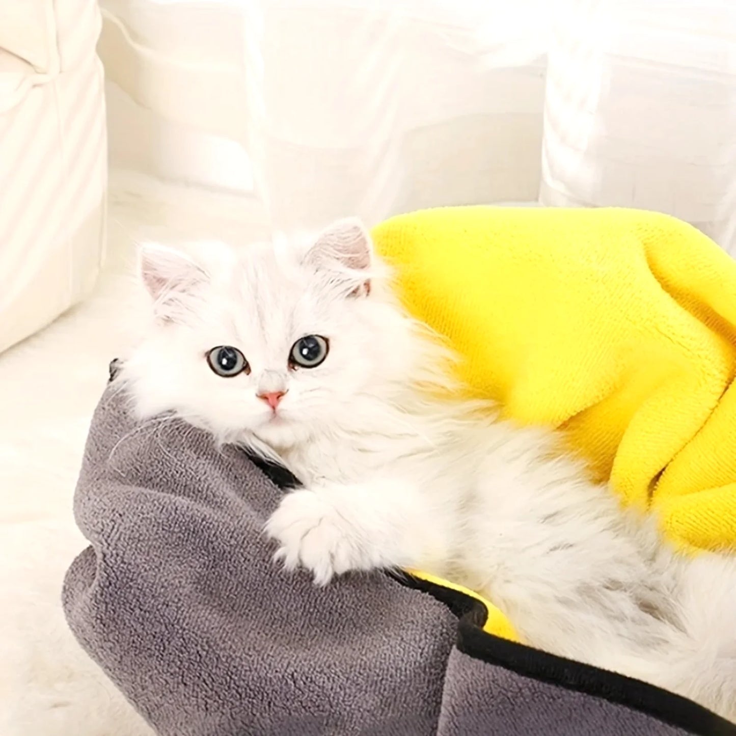 ペット超吸水タオル™｜マイクロファイバー速乾 犬猫用 お風呂・水遊び後の吸水ブランケット
