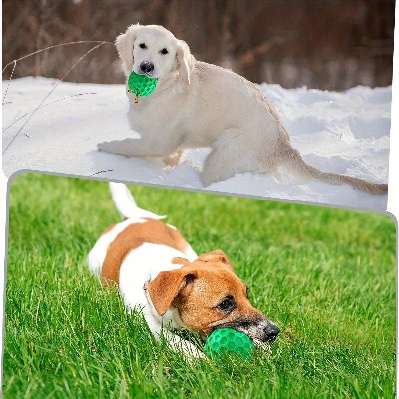 丈夫な天然ゴム噛むボール™｜音が鳴る 犬用 デンタルケア 頑丈おもちゃ