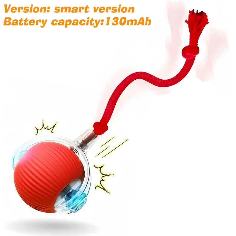 Spin Snacker - Automatic Rolling Treat Ball Interactive Cat Dog Toy