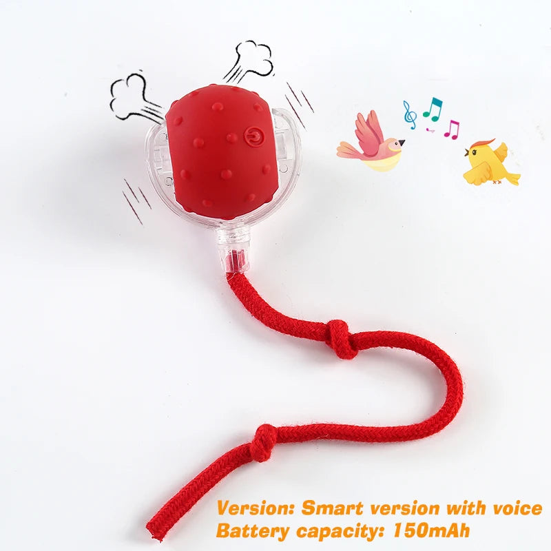 Spin Snacker - Automatic Rolling Treat Ball Interactive Cat Dog Toy