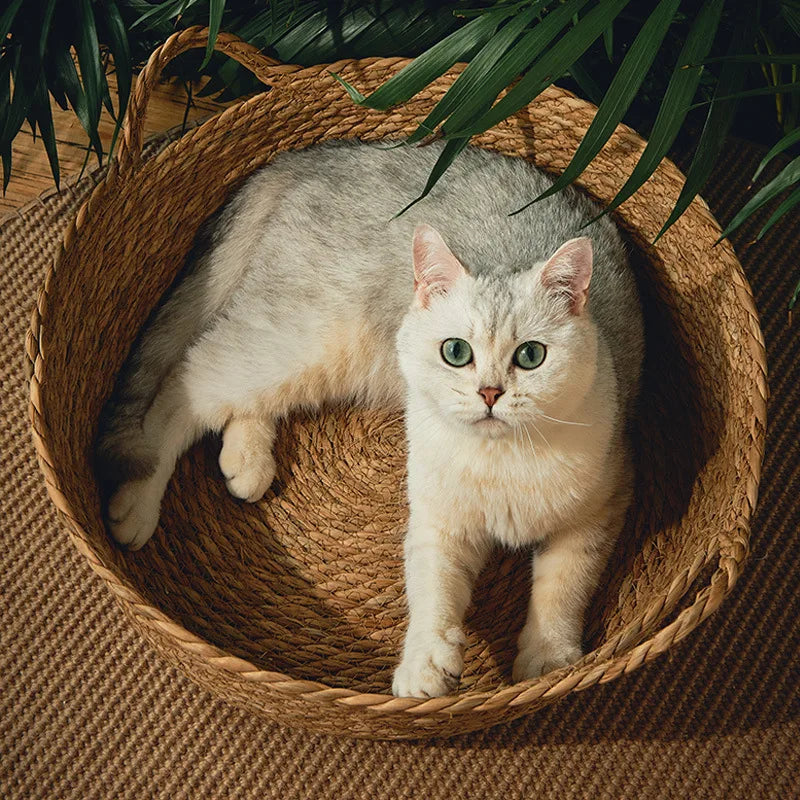 ラタン編み猫ベッド夏用™