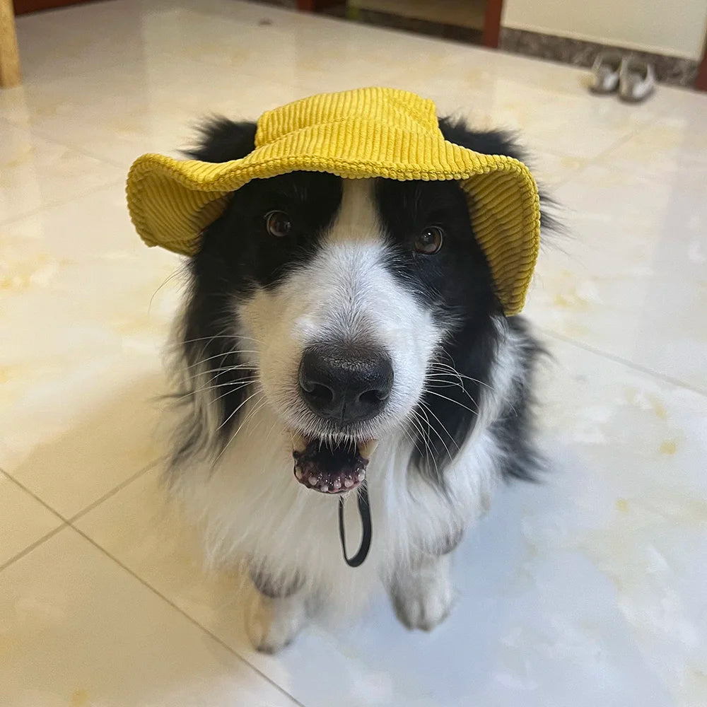 犬用日よけ帽子™
