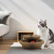 Durable Twistable Cardboard Cat Scratcher - Interactive Play Toy, Encloses Nature, Indoor Entertainment, All Breed Sizes