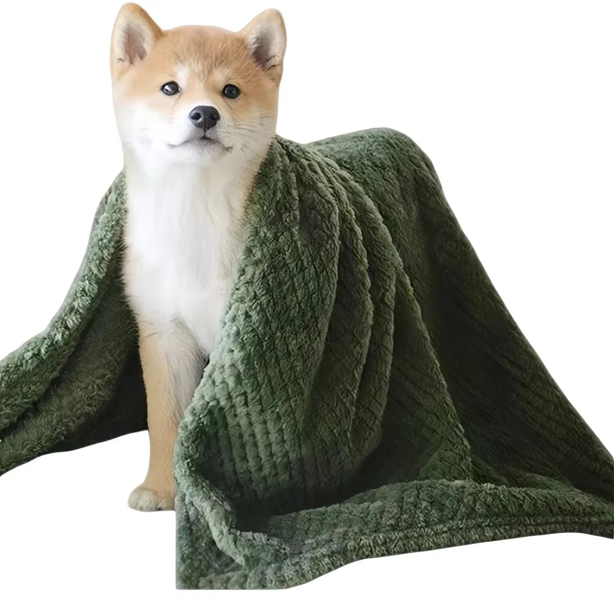 プラッシュペットブランケット™｜4シーズン対応 洗える暖かいペット寝具 犬猫兼用マットカバー