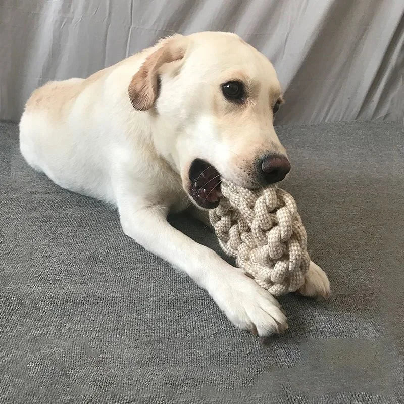 Cat Dog Knot Toy Cleaning Teeth Grinding Teeth Interest Interactive Wear Resistant Knot Toy Play Entertainment Pet Supplies 1Pc