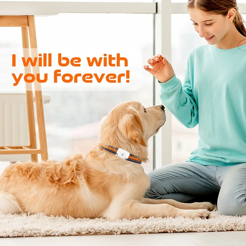 GPSペットトラッカー™｜4G LEDライト IP67防水 歩数・カロリー計測 犬猫用首輪