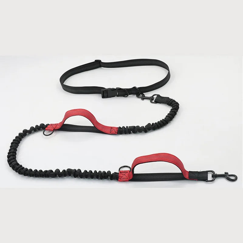 Double elastic reflective running leash portable retractable dog leash dog chain leash pet supplies wholesale