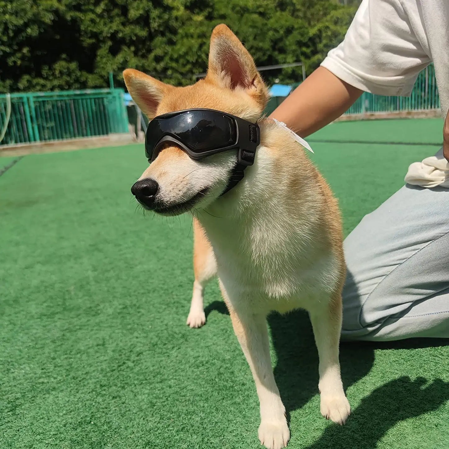 犬用UVカットサングラス™