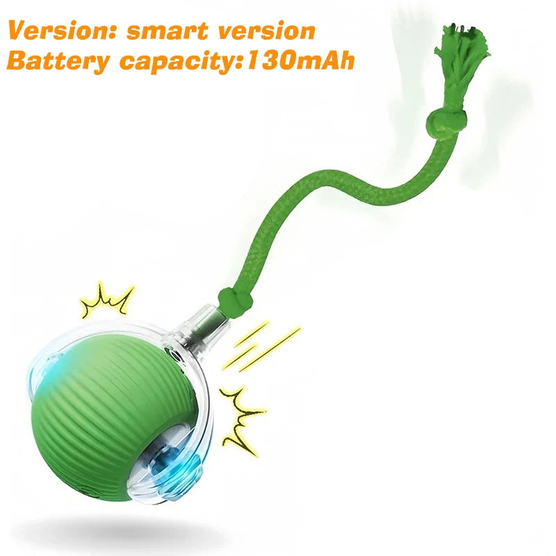 Spin Snacker - Automatic Rolling Treat Ball Interactive Cat Dog Toy