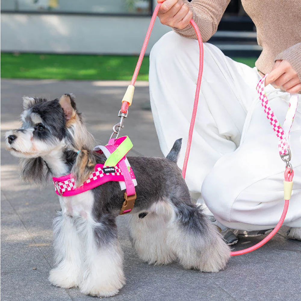 小型犬用ハーネス&リードセット™