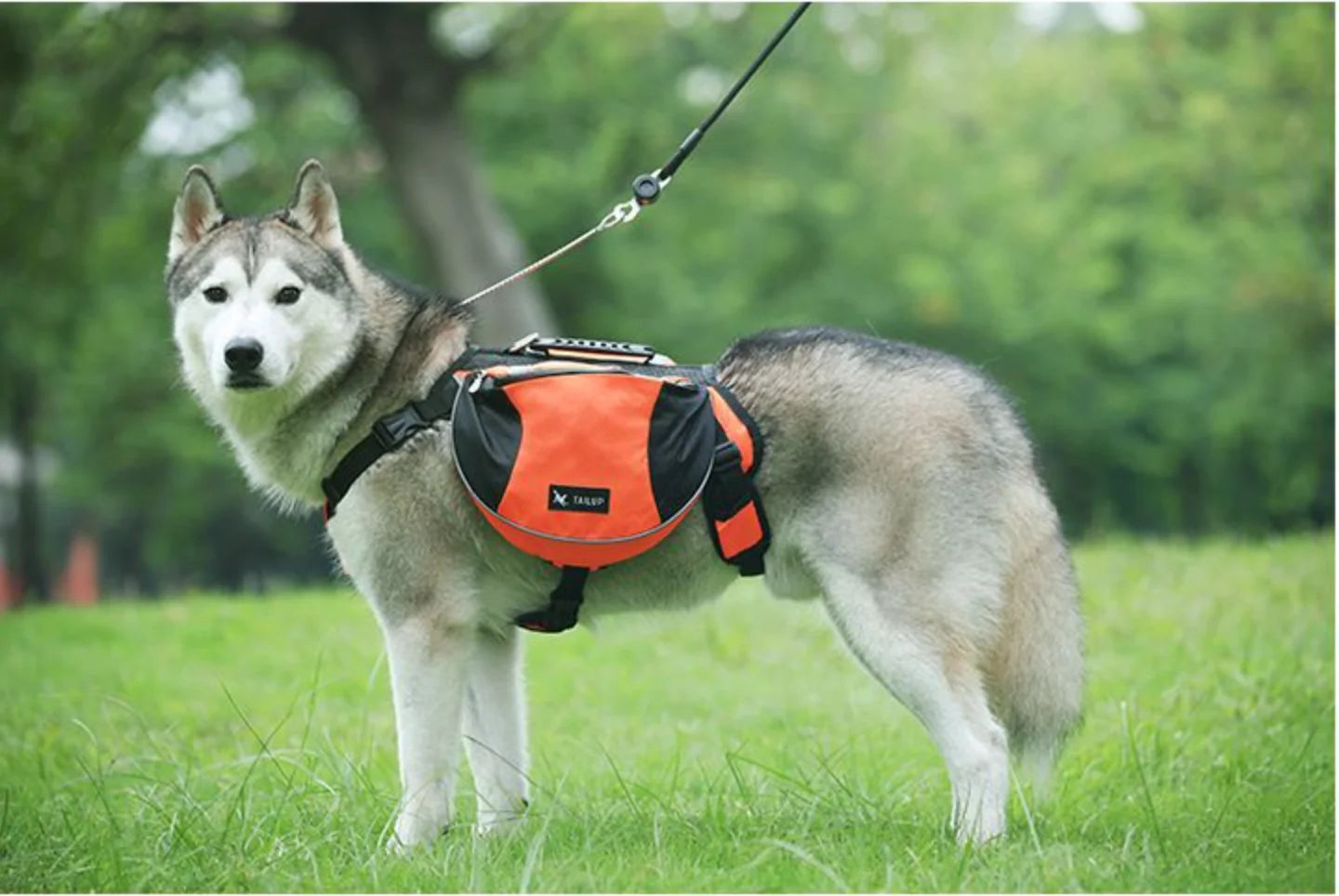 犬用リフレクターサドルバッグ™