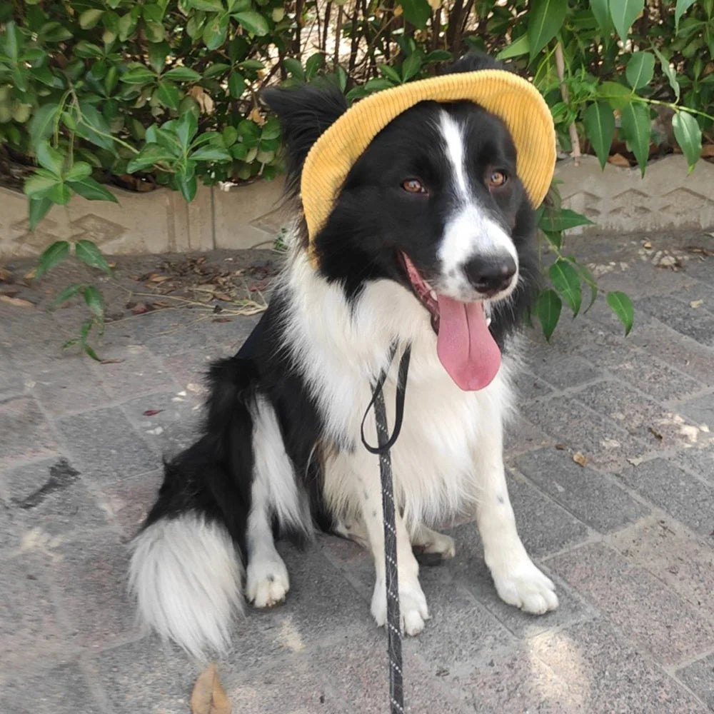 犬用日よけ帽子™