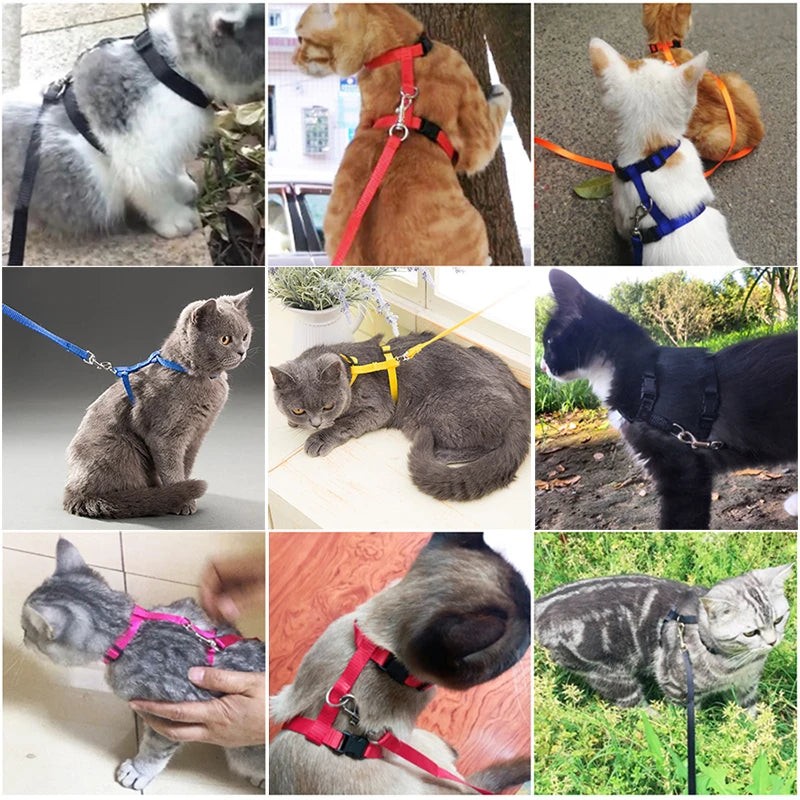 猫用ハーネスリードセット™